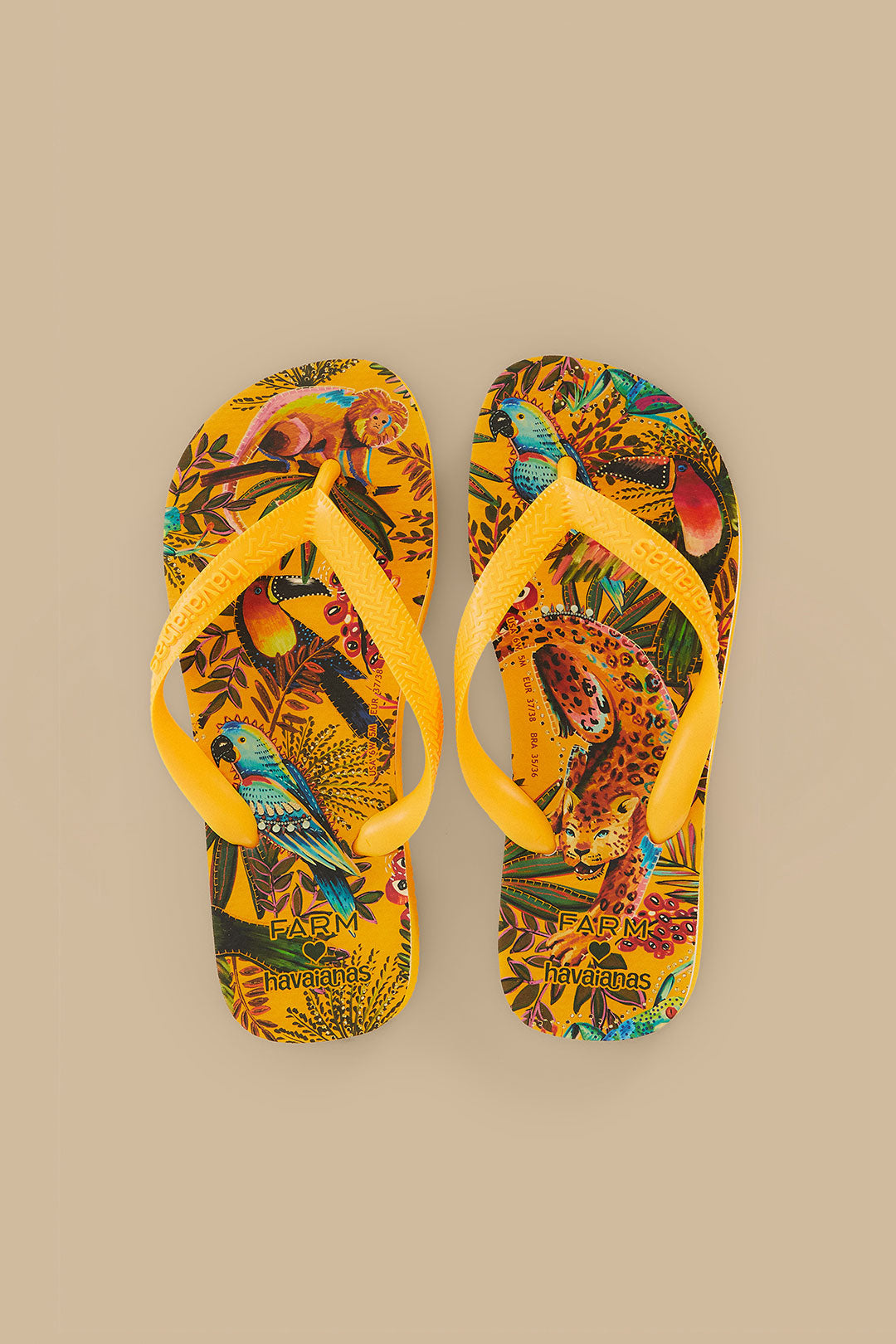 في الغابة Havaianas