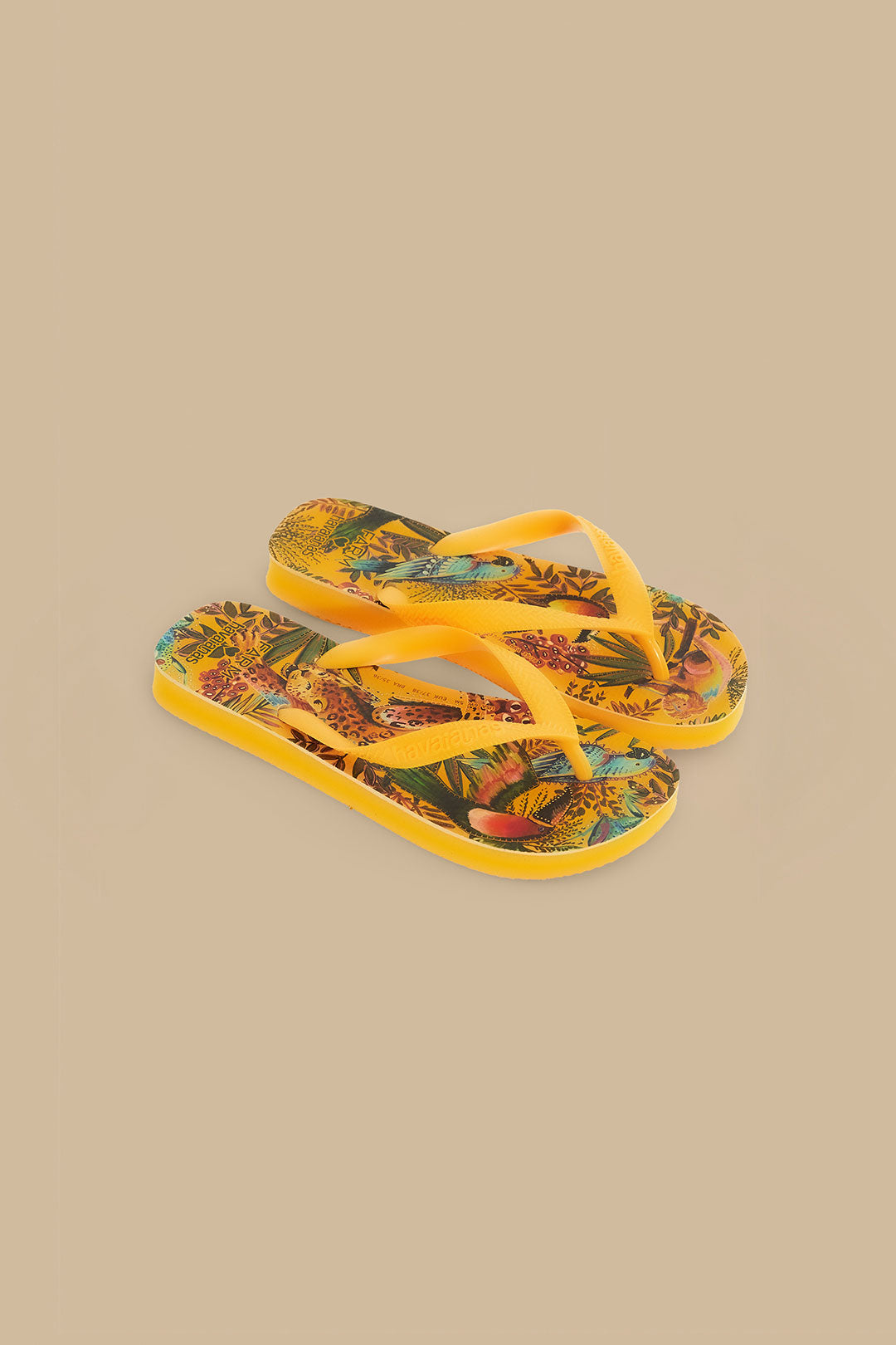 في الغابة Havaianas