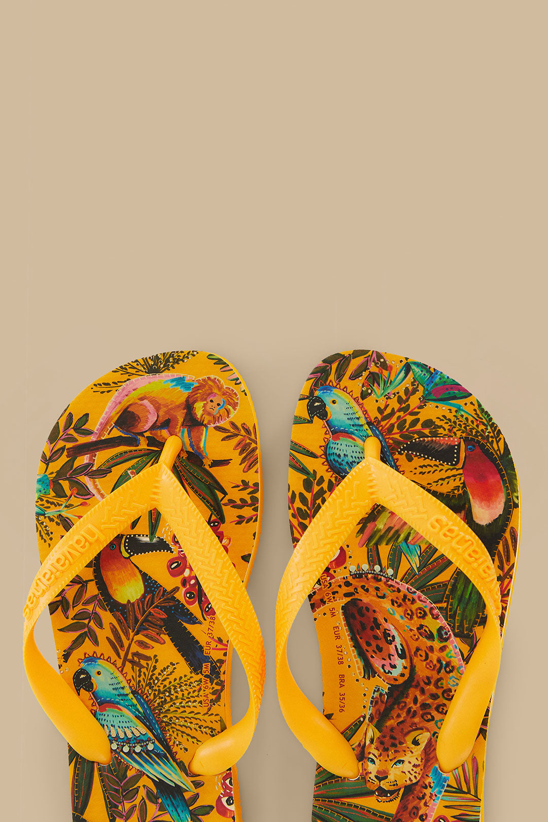 في الغابة Havaianas