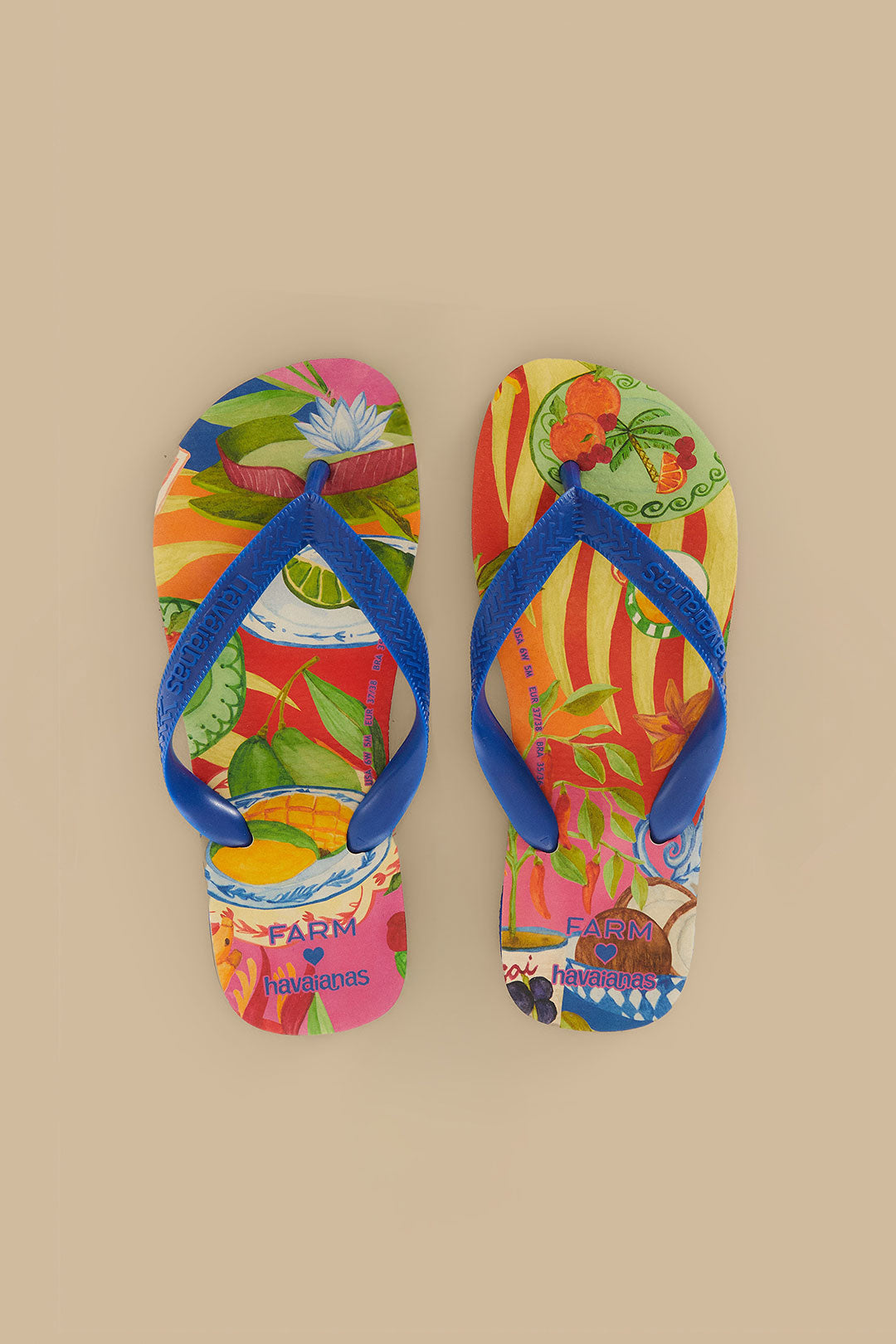 النزهة الصيفية متعددة الألوان Havaianas