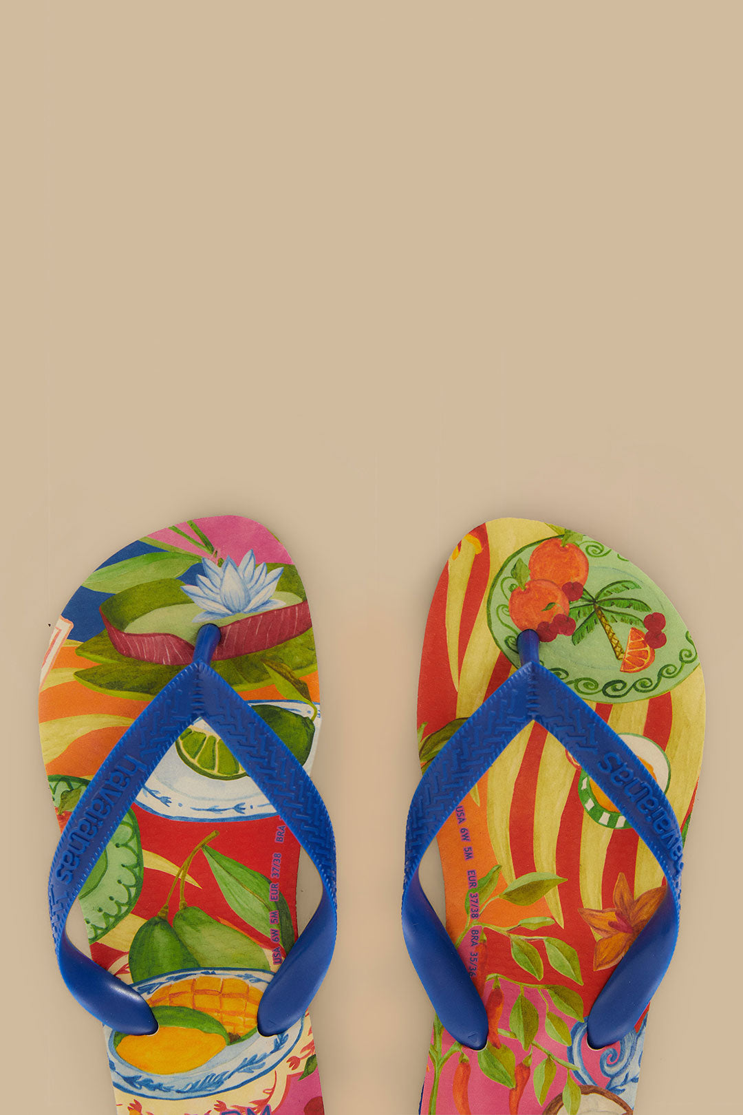 النزهة الصيفية متعددة الألوان Havaianas