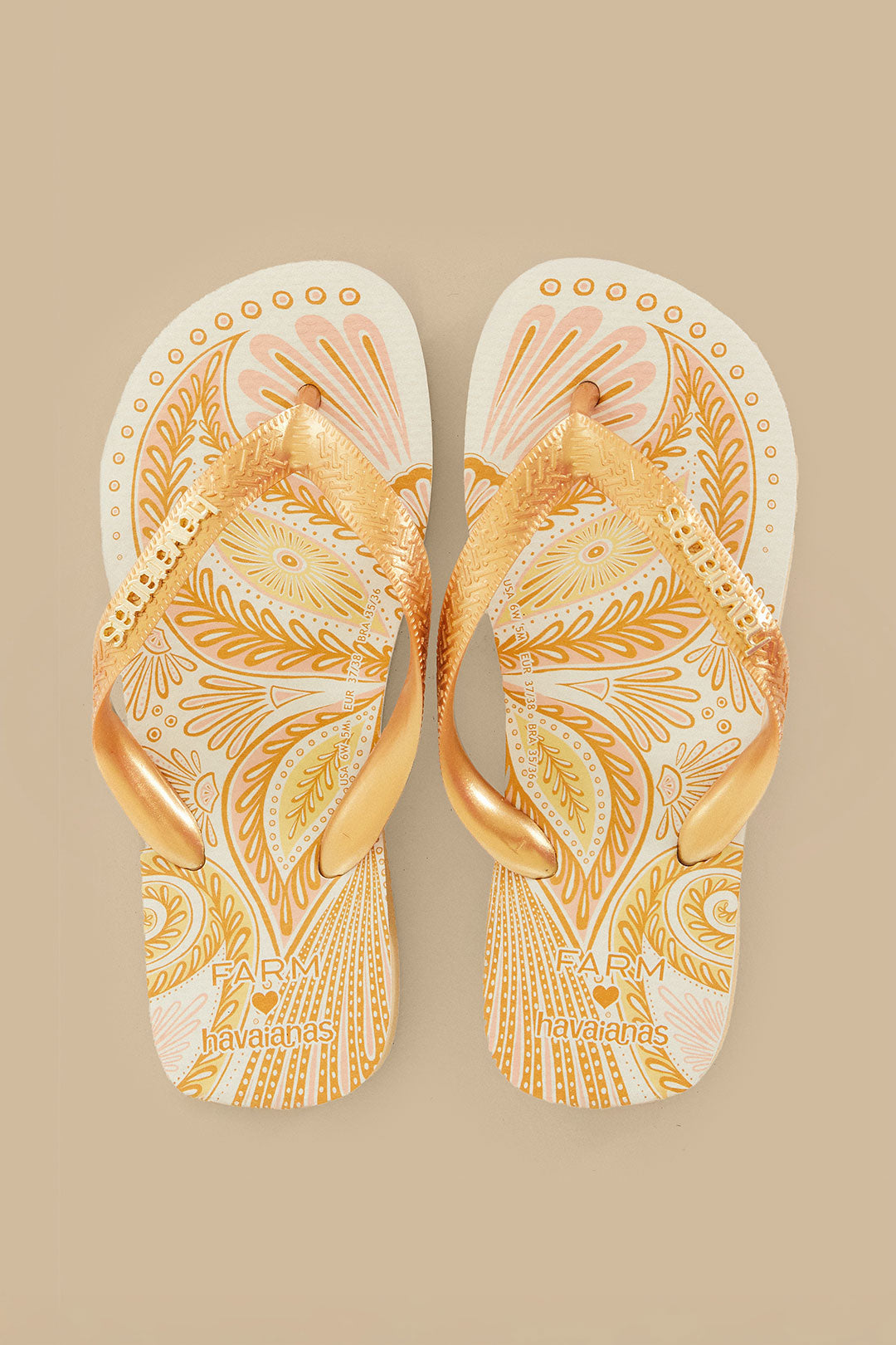 Papillon Havaianas