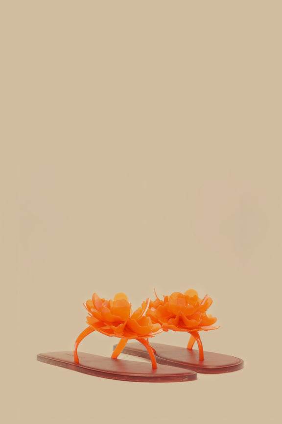 Citrus Flower Jelly Flat Sandal