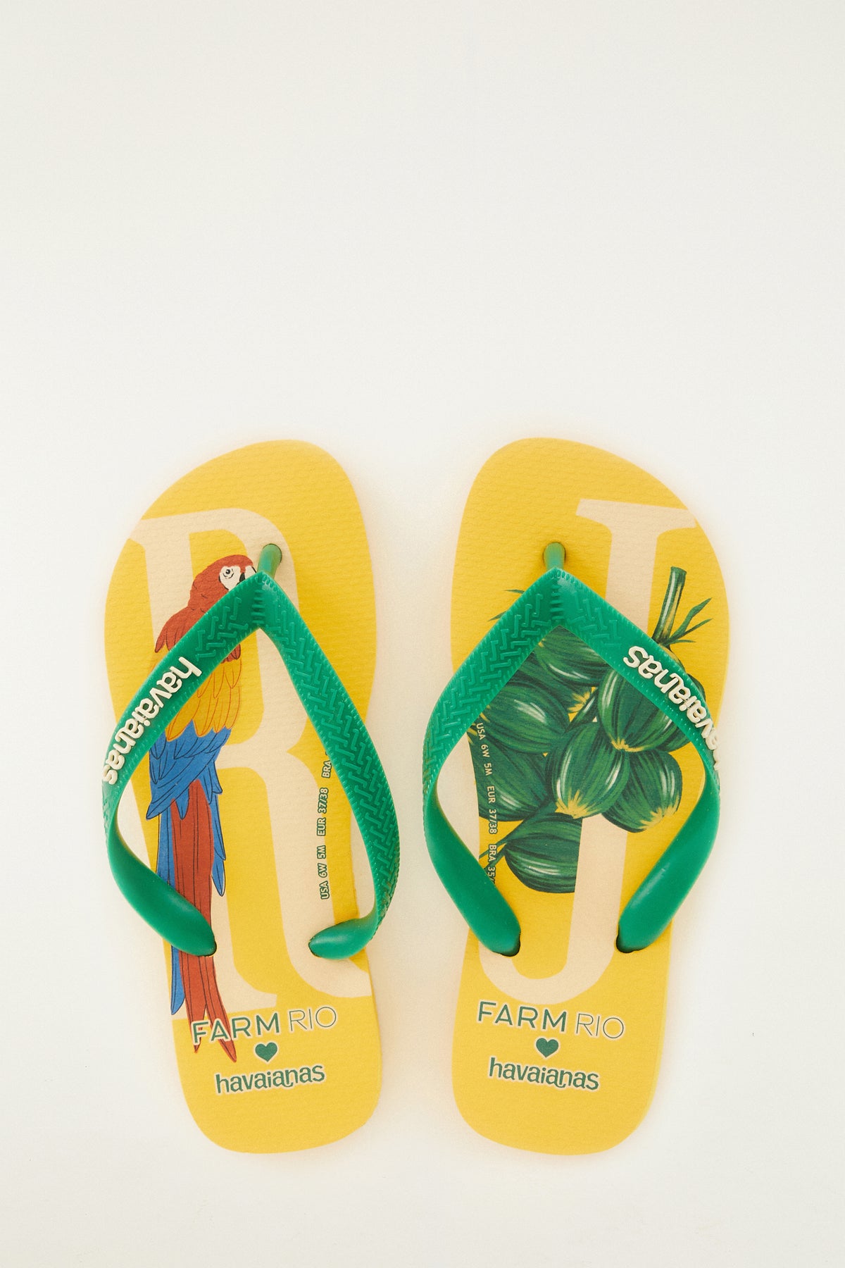 RJ HAVAIANAS