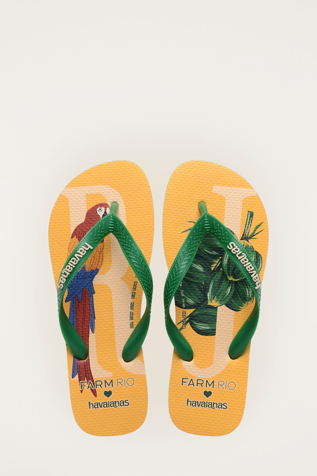 RJ HAVAIANAS Pair of yellow flip-flops with green straps featuring a parrot design on a white background.