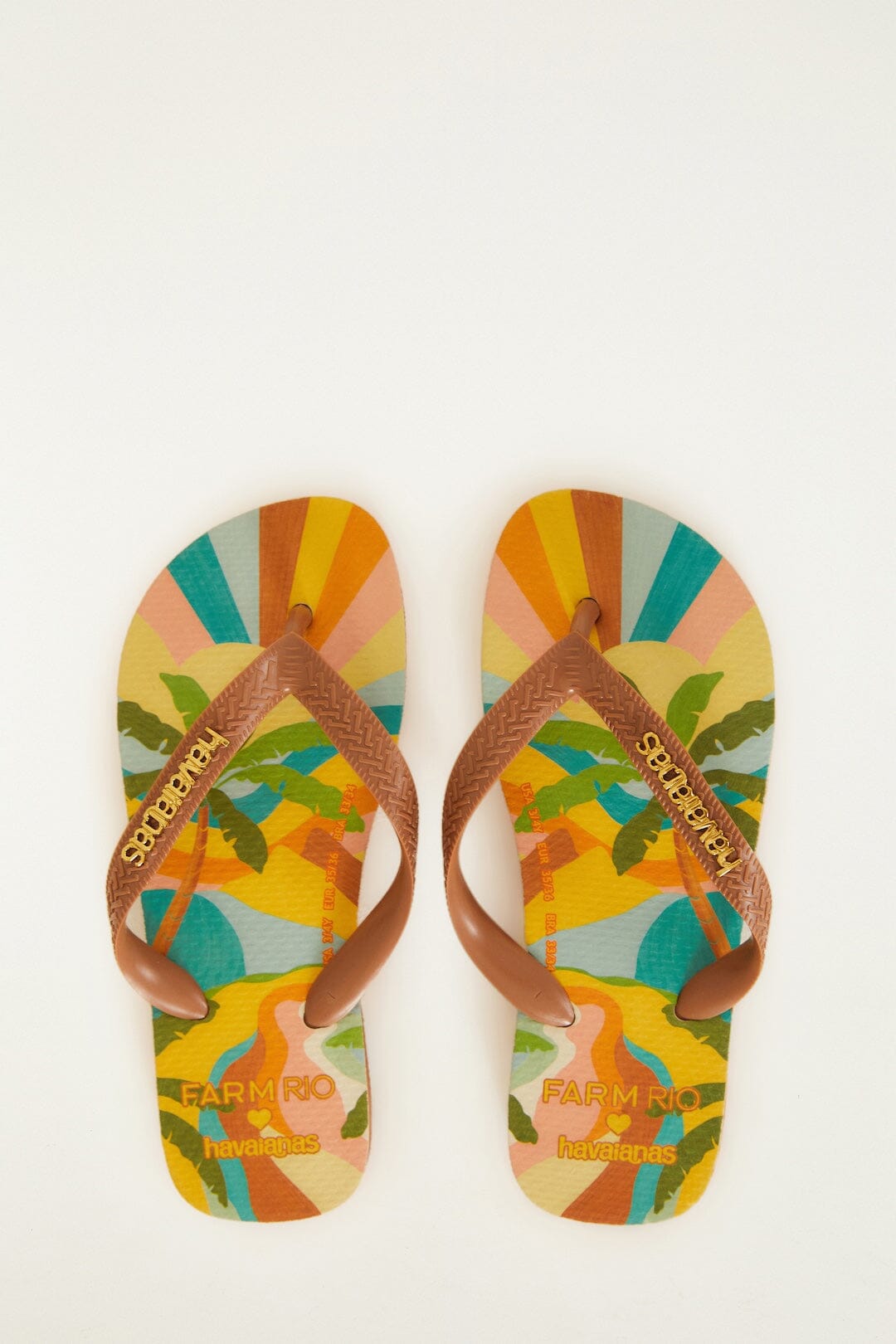 Multicolor Carioca Landscape Havaianas
