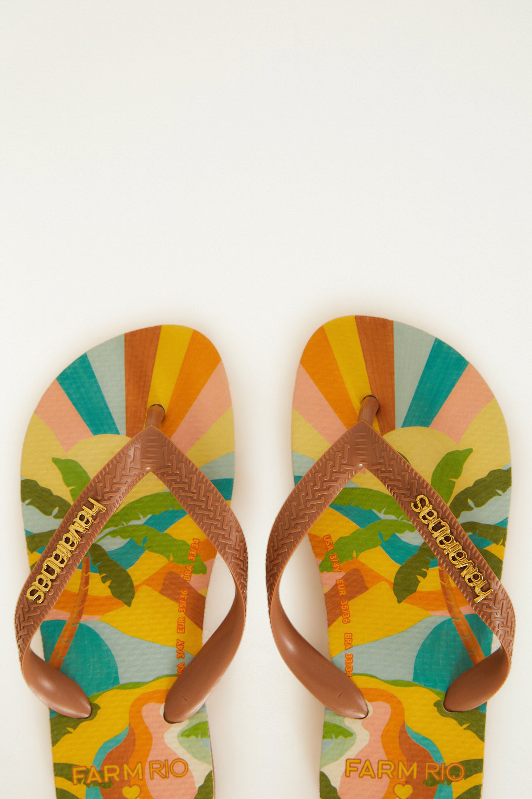 Multicolor Carioca Landscape Havaianas